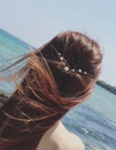 تل فلزی مینیمال مخصوص شینیون پشت سر