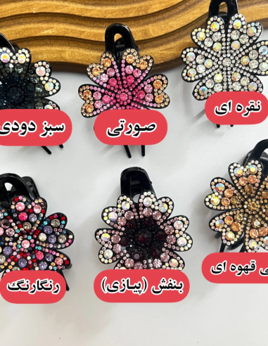 گیره انبری مجلسی