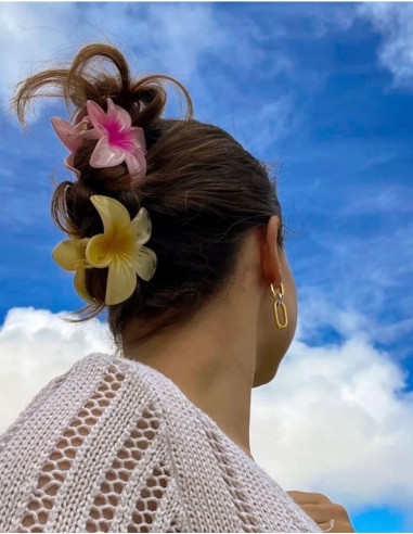 کلیپس پلومریا