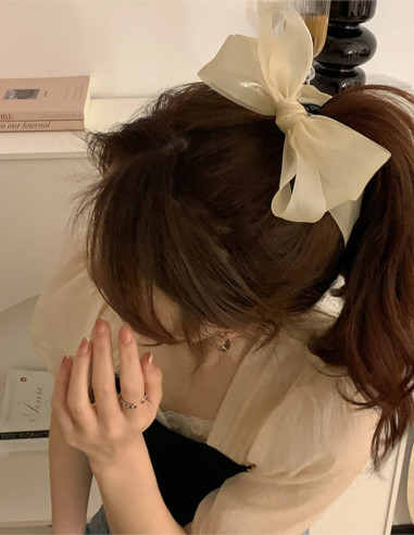 کلیپس آبشاری