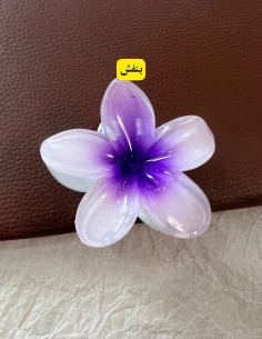 پلومریا رنگبندی جدید وپرطرفدار 2