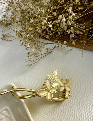 کلیپس چفتی پروانه