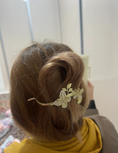 کلیپس چفتی پروانه