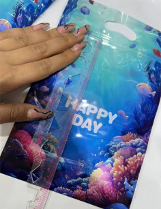 زیپ کیپ پری دریایی 2