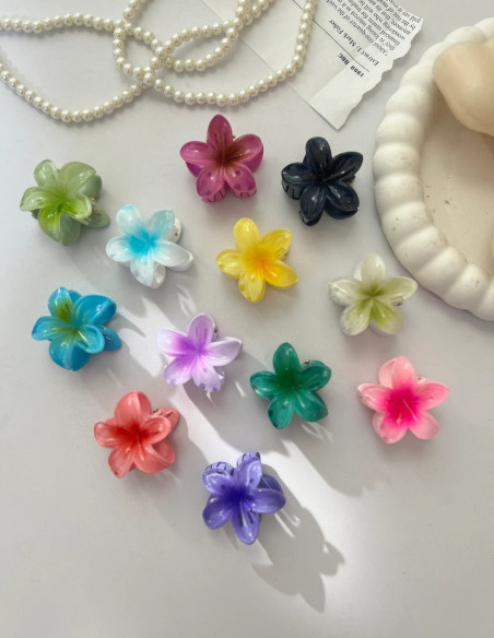 مینی کلیپس پلو مریا