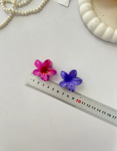 مینی کلیپس پلو مریا