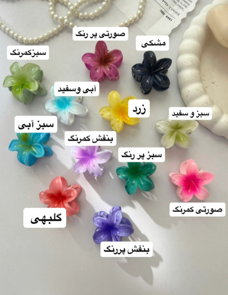 مینی کلیپس پلو مریا