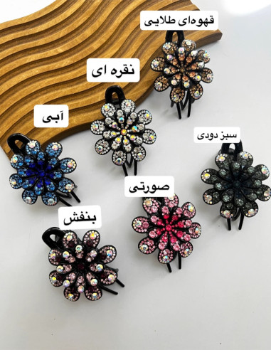 کلیپس انبری مجلسی طرح 1