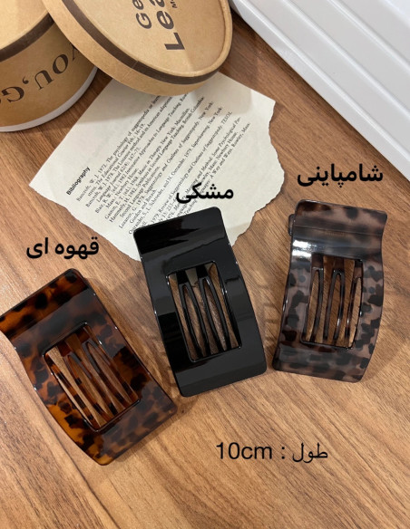 کلیپس مسافرتی فلت پلنگی نشکن